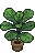 large plant